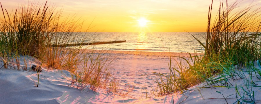 Bergen auf Rügen: 4* Hotel inkl. Frühstück, Sauna & Parkplatz – Deal auf dealbunny.ch
