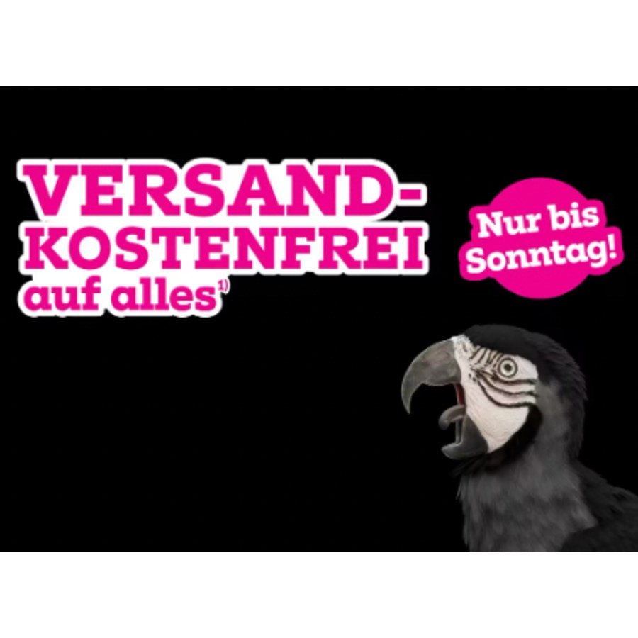 Mömax: Kostenloser Versand auf das gesamte Mömax-Sortiment – Deal auf dealbunny.ch